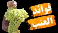 تحميك من أمراض العصر.. ماذا تفعل فاكهة العنب في جسم الإنسان؟