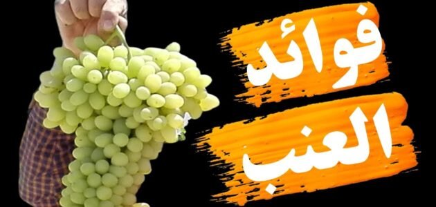 تحميك من أمراض العصر.. ماذا تفعل فاكهة العنب في جسم الإنسان؟