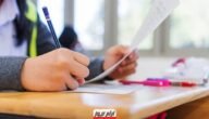 “ظهرت الآن” نتيجة الدور الثاني للثانوية العامة 2023 بالاسم ورقم الجلوس عبر موقع الوزارة