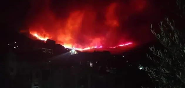 الجزائر.. اندلاع حريق في غابات منطقة عش الباز ببوليمات