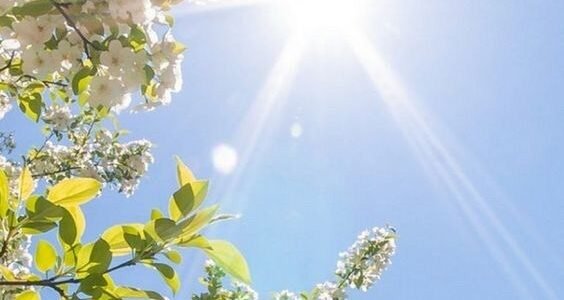 خلفيات شاشة جوال جميلة 2024 صور وقوالب خلفيات شاشة الهاتف للتحميل
