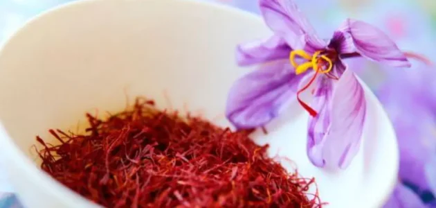 ماذا تعرف عن الزعفران؟ فوائد صحية ذهبية للجسم والعقل