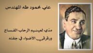 شرح قصيدة تدريبات على ما سبق للشاعر علي محمود طه