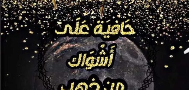 تحميل رواية حافية على اشواك من ذهب pdf كاملة 1 تحميل رواية حافية على اشواك من ذهب pdf كاملة