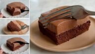 تعلم كيفية عمل كيكة الشوكولاتة المغمورة بالكريم شانتيه والصوص الشهي