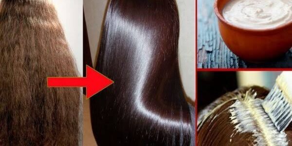 5 وصفات طبيعية فعالة لتحويل الشعر الخشن إلى خصلات حريرية