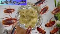 العجينة السحرية للتخلص من الصراصير