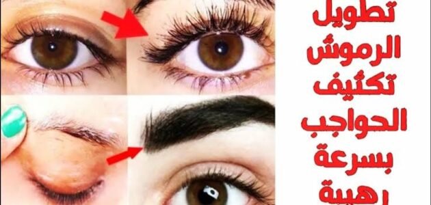 طريقة تطويل الرموش وتكثيف الحواجب بسرعة الصاروخ لن تصدقي النتيجة المبهرة 1 طريقة تطويل الرموش وتكثيف الحواجب بسرعة الصاروخ لن تصدقي النتيجة المبهرة
