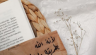 عبارات جميلة للواتس اب وجديدة 2024 عبارات واتس اب قصيرة
