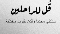أقوال مضحكة لكنها واقعية 2024 أقوال واقتباسات مضحكة 1 أقوال مضحكة لكنها واقعية 2024 أقوال واقتباسات مضحكة