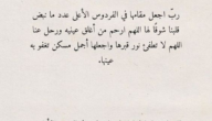 دعاء لامي المتوفيه في عيد المولد النبوي 2023 4 دعاء لامي المتوفيه في عيد المولد النبوي 2023