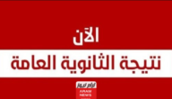 “اليوم السابع” نتيجة ملاحق الثانوية العامة الدور الثاني 2023 برقم الجلوس عبر موقع نتيجة نت نتيجة.. ملاحق 3 ثانوي