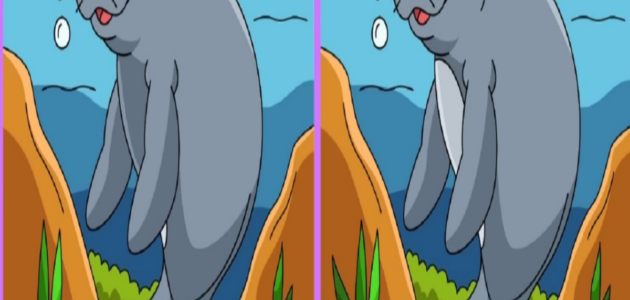 اكتشف الاختلافات الأربعة في الصورة.. اتحداك تعرف الاختلاف الرابع