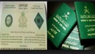 رابط تقديم طلب تجنيس السعودية absher.sa واهم الخطوات لمنح الجنسية 4 رابط تقديم طلب تجنيس السعودية absher.sa واهم الخطوات لمنح الجنسية