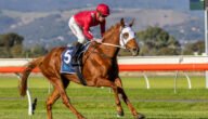 Akeed Mofeed’s The Amazonian Puts Them to the Sword in SA Fillies Classic
