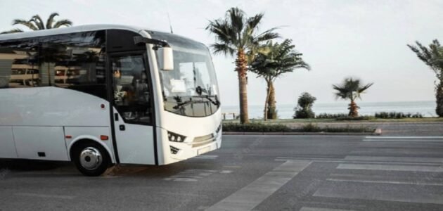 شروط ترخيص النقل الدولي للركاب بالحافلات وحالات الغاء الترخيص