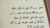 حكم الامام علي عن الدنيا 2024 أجمل حكم ومواعظ الامام علي