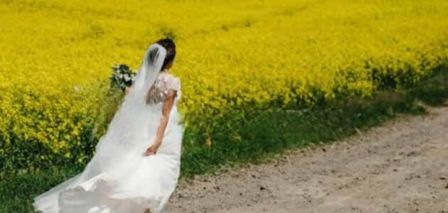 تحميل رواية العروسة هربت pdf جميع الفصول