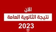 “بالاسم” نتيجة الدور الثاني للثانوية العامة بالاسم 2023 عبر موقع الوزارة ونتيجة نت