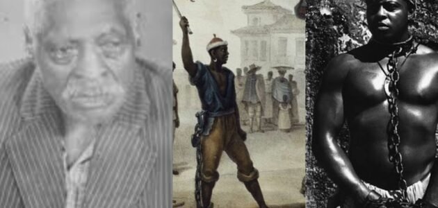 باتا سيكا ويكيبيديا - خليجنا 1 باتا سيكا ويكيبيديا – خليجنا