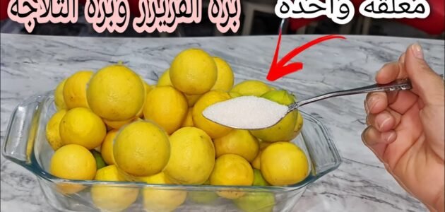 خزنيه وهو رخيص.. اسهل طريقه لتخزين الليمون هيفضل معاكى سنه كامله بدون ما يتغير لونه ولا طعمه بطريقه سهله وسريعه