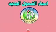 “الاسماء pdf” قوائم اسماء المقبولين في الرعاية الاجتماعية الوجبة الاخيرة العراق 2023 pdf