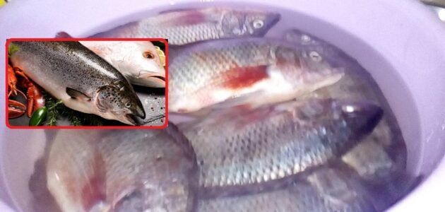 طريقة إزالة رائحة زفارة السمك من اليدين بعد انتهاء الطهي