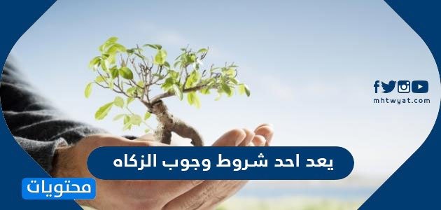 يعد احد شروط وجوب الزكاه