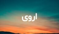 معنى اسم أروى وماهي صفات حاملة الاسم وحكم التسمية به