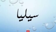 معنى اسم سيليا وصفات شخصية اسم سيليا