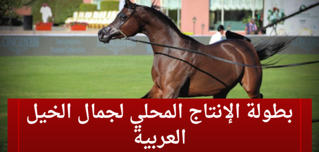 انطلاق بطولة الإنتاج المحلي لجمال الخيل العربية في السعودية يوم الثلاثاء