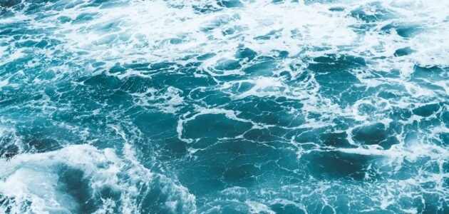 ماء البحر...فوائد للجسم لاتحصى ولاتعد تعرف عليها 1 ماء البحر…فوائد للجسم لاتحصى ولاتعد تعرف عليها