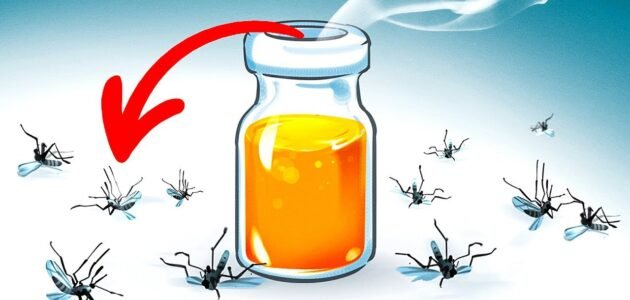 وصفة التخلص من الناموس بوصفة جبارة لنظافة منزلك ونوم بدون قلق