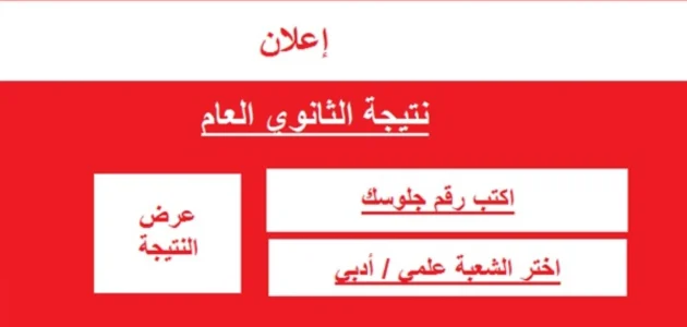 “الف مبروووك” نتيجة الثانوية العامة 2023 الدور الثاني بالاسم ورقم الجلوس