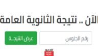 “برقم الجلوس” نتيجة الثانوية العامة الدور الثاني 2023 برقم الجلوس عبر موقع الوزارة