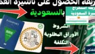 كم يبلغ سعر تأشيرة عمل إلى السعودية؟ ومتطلباتها وأنوعها الجديدة 1445