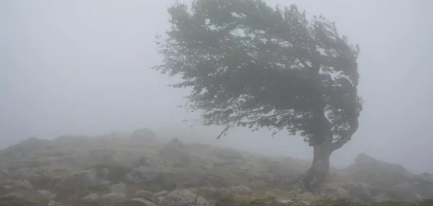 دعاء الريح اللهم اجعلها رياحا كامل مكتوب وبالصور 1 دعاء الريح اللهم اجعلها رياحا كامل مكتوب وبالصور