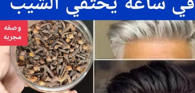 خلطة القرنفل للتخلص من الشيب بوصفة سحرية بدون صبغة ولا أمونيا