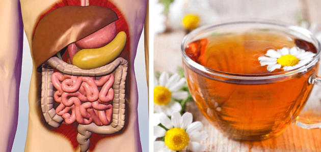 افضل طريقة لعلاج القولون العصبي والتخلص من الغازات