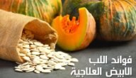 فوائد اللب الأبيض الرهيبة للجسم والصحة منها التخسيس وعلاج الضغط والسكر