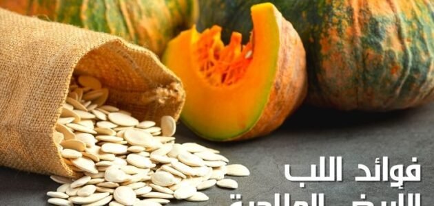 فوائد اللب الأبيض الرهيبة للجسم والصحة منها التخسيس وعلاج الضغط والسكر