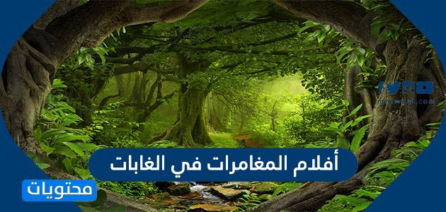 افضل افلام المغامرات في الغابات وقائمة أفضل 15 فيلم