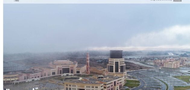 التقديم بالمنح الدراسية الداخلية بجامعة الملك خالد