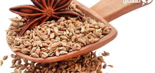 9 فوائد مذهلة لبذور اليانسون ستجعلك تتناولها كل يوم خصوصا للنساء
