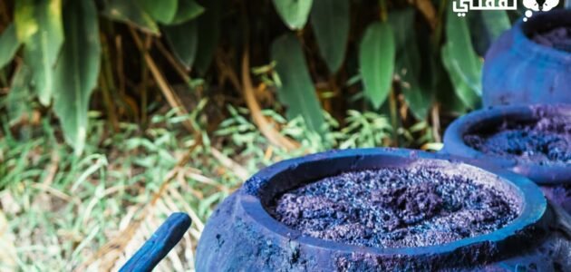10 فوايد من تجربتي مع النيلة الزرقاء للجسم والوجه 1 10 فوايد من تجربتي مع النيلة الزرقاء للجسم والوجه