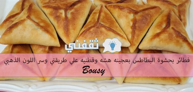 فطائر بحشوة البطاطس بعجينه هشه وقطنيه على طريقتي وسر اللون الذهبي