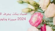 اسماء بنات بحرف الباء 2024 مميزة ونادرة