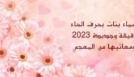 اسماء بنات بحرف الحاء رقيقة وجديدة من المعجم
