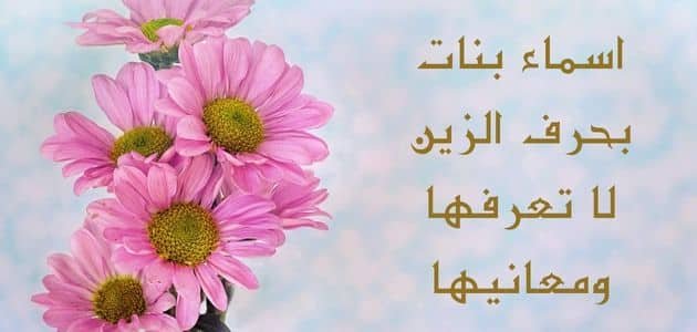 اسماء بنات بحرف الزين نادرة عربية وأجنبية ومعانيها