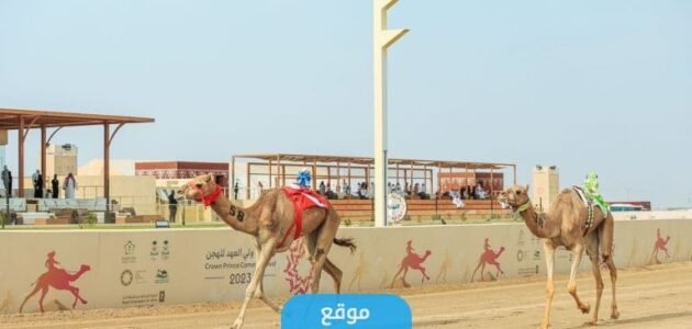 كم تبلغ جوائز مهرجان ولي العهد للهجن 1445